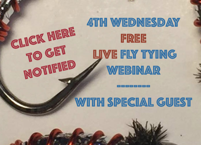 fly tying webinar