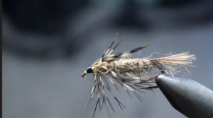 hackled skip nymph