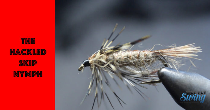 hackled skip nymph