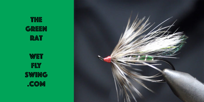 green rat
