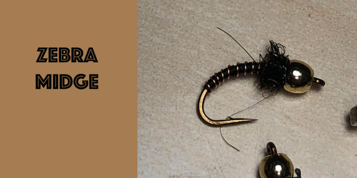 zebra midge