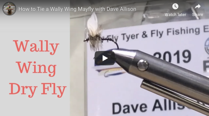wally wing