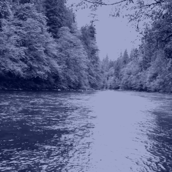fly fishermans fantasy