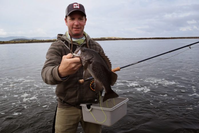 jetty fishing