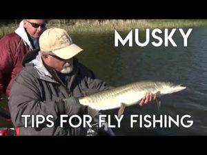 tiger musky