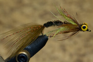 fly fishing for carp