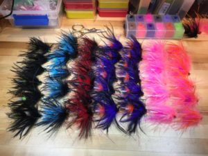 winter steelhead color