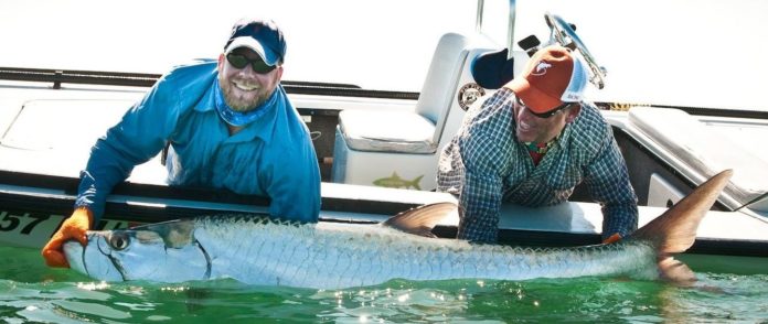 bruce chard fly fishing