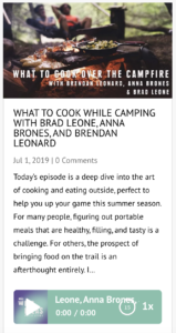 the wild ideas podcast