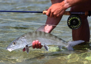 La Pescadora Fly Fishing