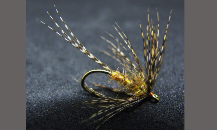 steve bird soft hackle journal