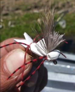 deschutes salmon fly hatch
