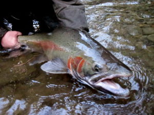 fly fishing gear list