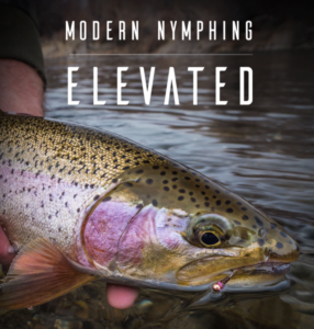 modern nymphing