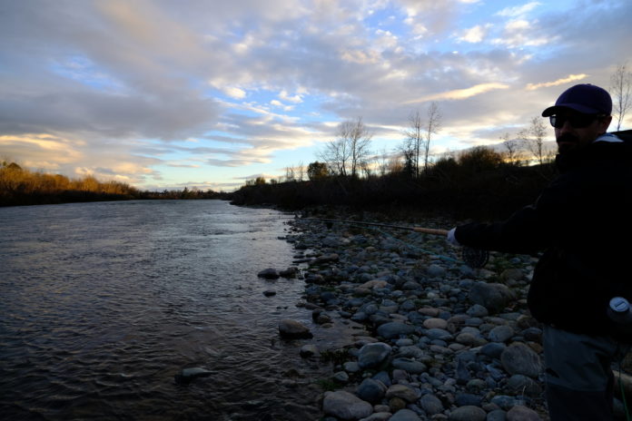 norther california fly fishing