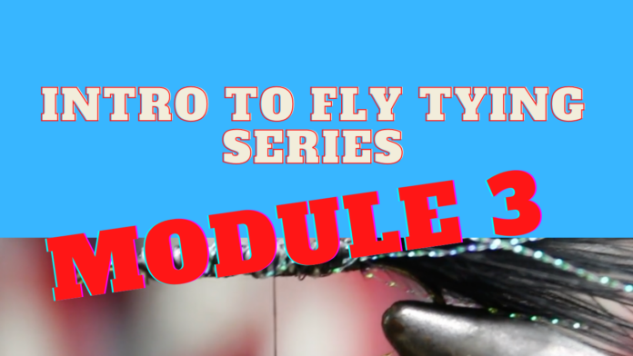 nymphs for fly fishing