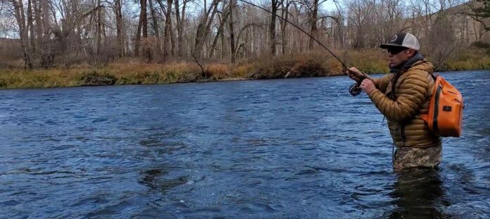 joe rotter reds fly shop