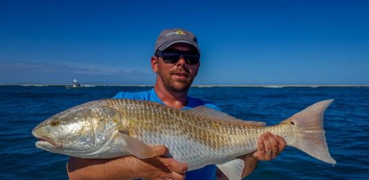 fly fishing for redfish