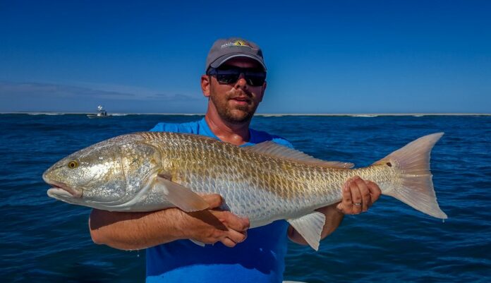 fly fishing for redfish