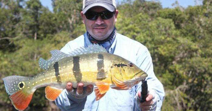 fly fishing ecuador