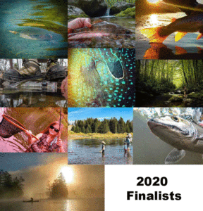 orvis 20 days in september