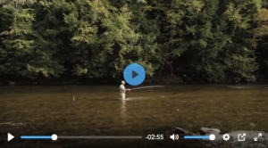 orvis fly fishing blog