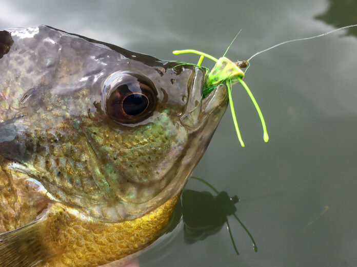 panfish flies