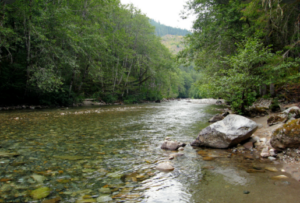 yellowstone fly fishing
