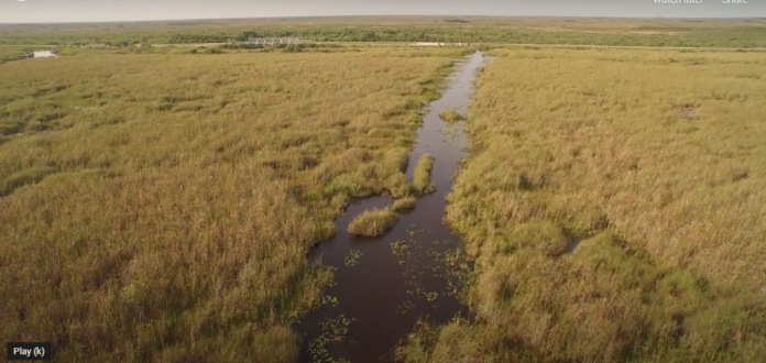 Everglades in Florida