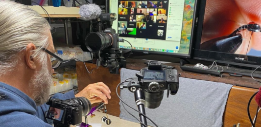 tightline productions