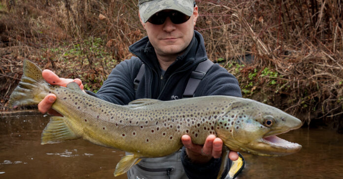 winter fishing for trout
