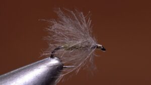 winter fishing for trout