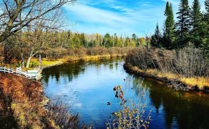 streamers for brown trout