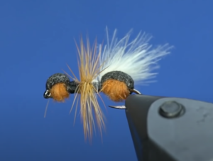 rocky mt national park