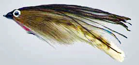 fly fishing wisconsin