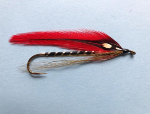 new hampshire warden