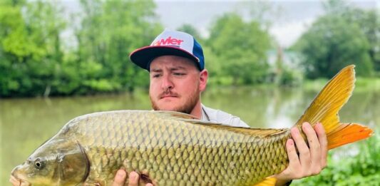 virginia fly fishing