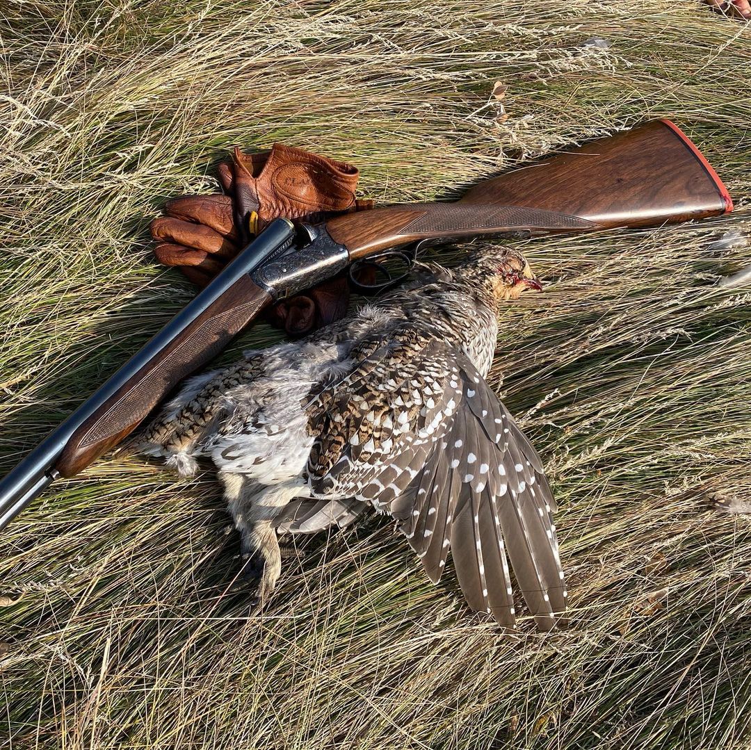 upland bird hunting