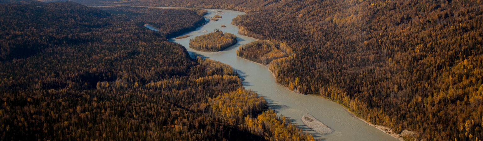 susitna river coalition