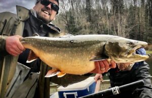 bull trout fly fishing
