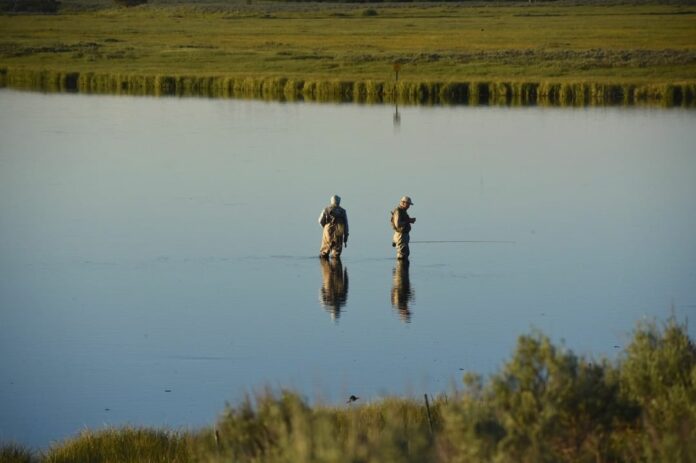 henry's fork foundation