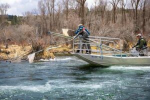 henry's fork foundation