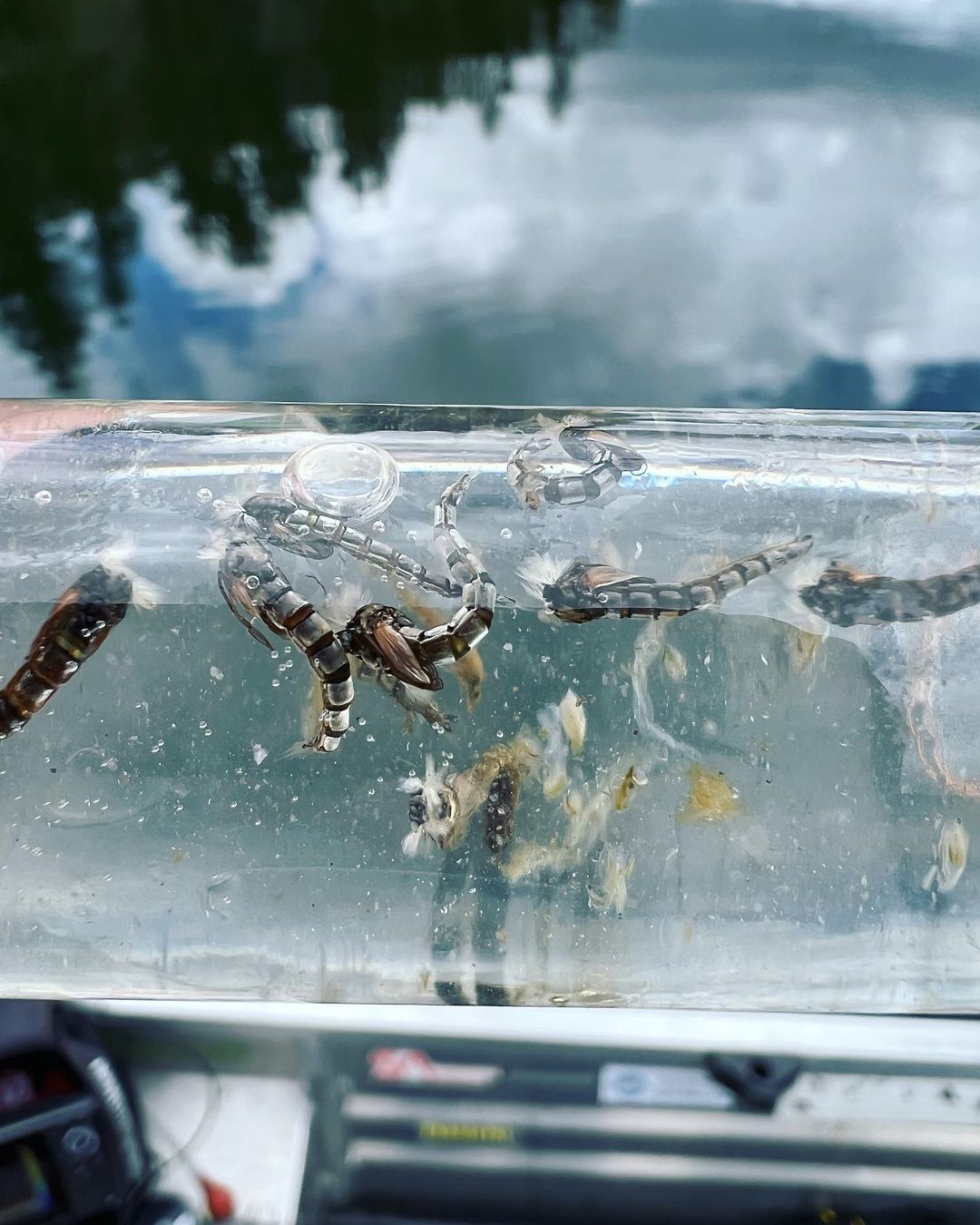 brian chan and phil rowley