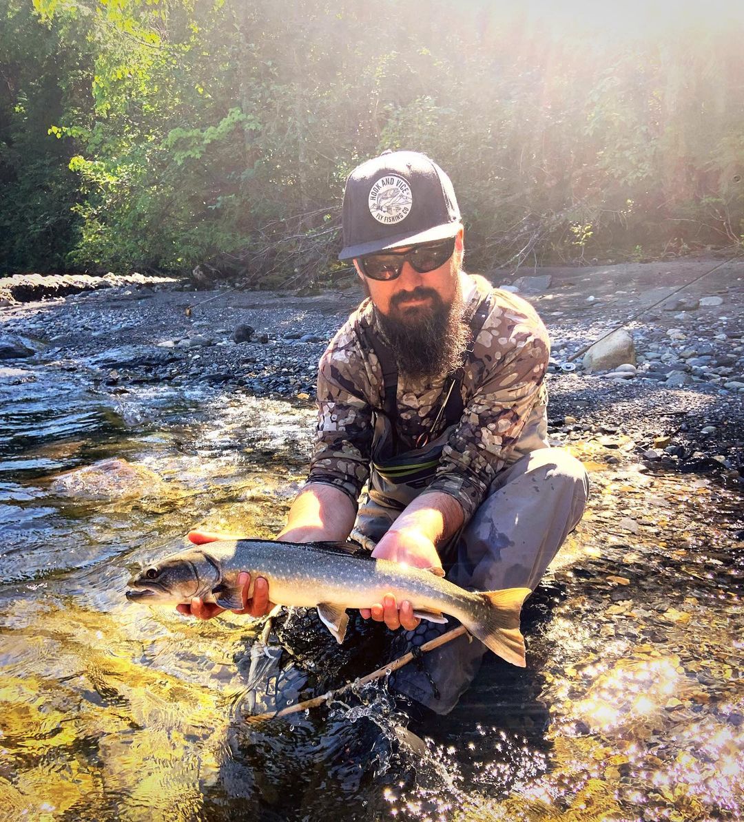 northern lights lodge