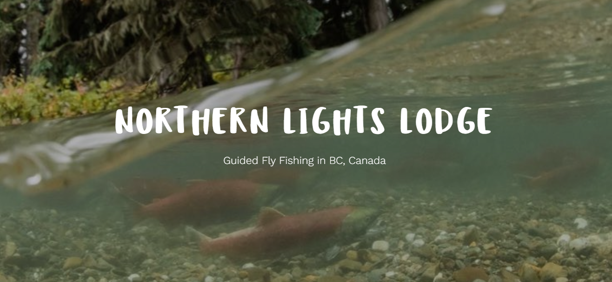 northern lights lodge