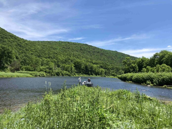 delaware river fly fishing