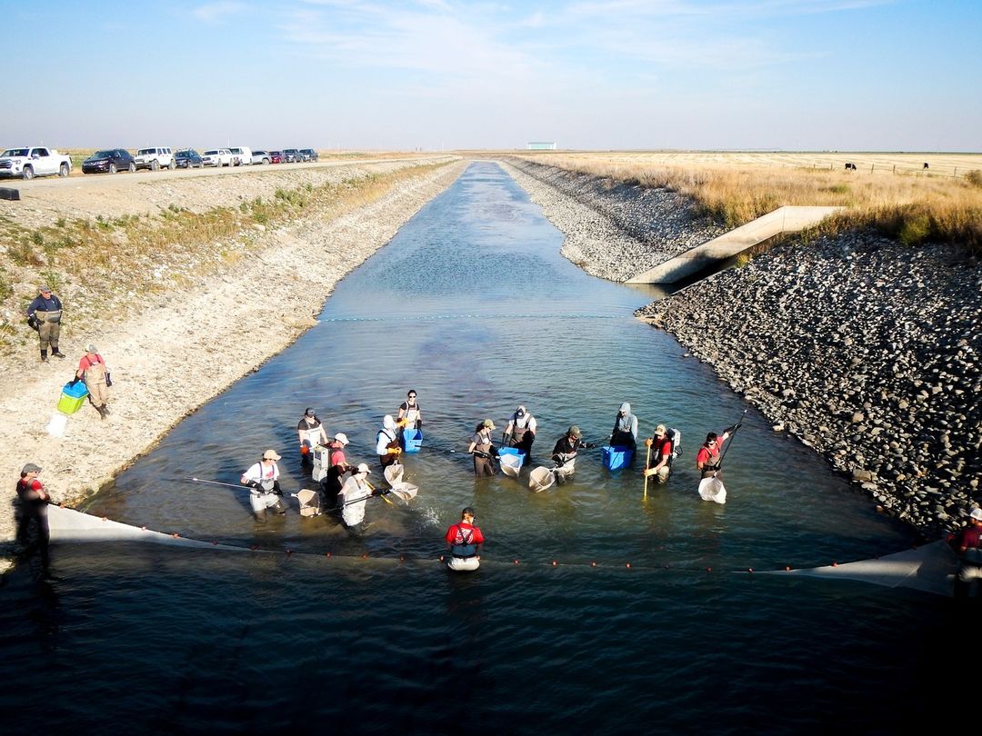 trout unlimited canada