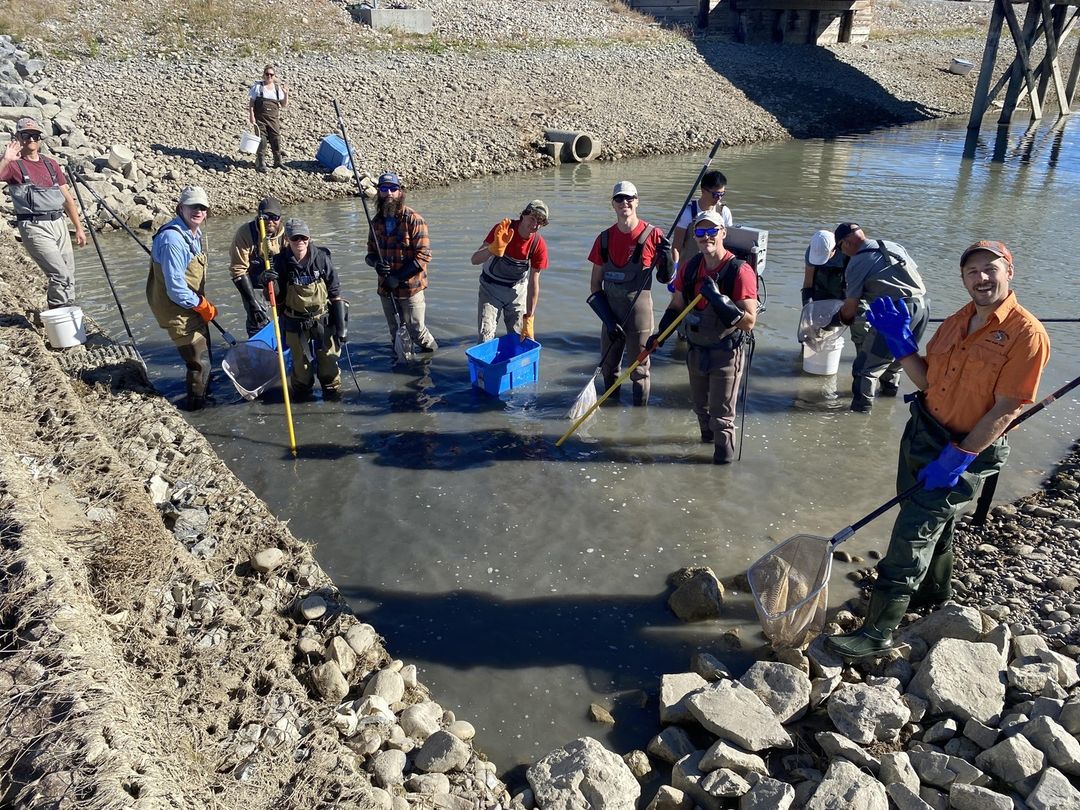 trout unlimited canada