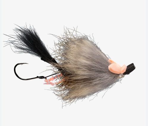 alaska rainbow trout fishing