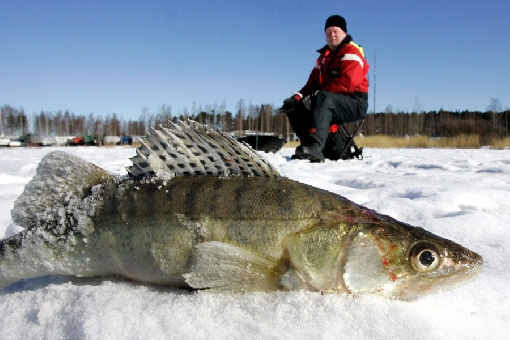 fishing finland
